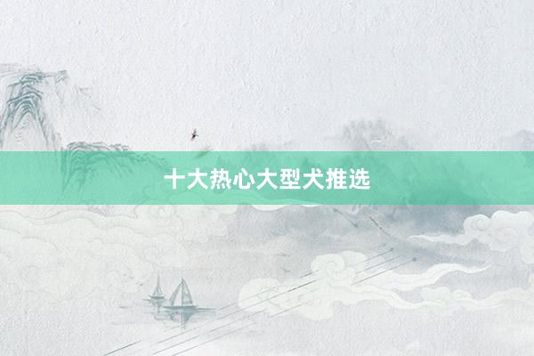十大热心大型犬推选