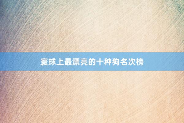 寰球上最漂亮的十种狗名次榜